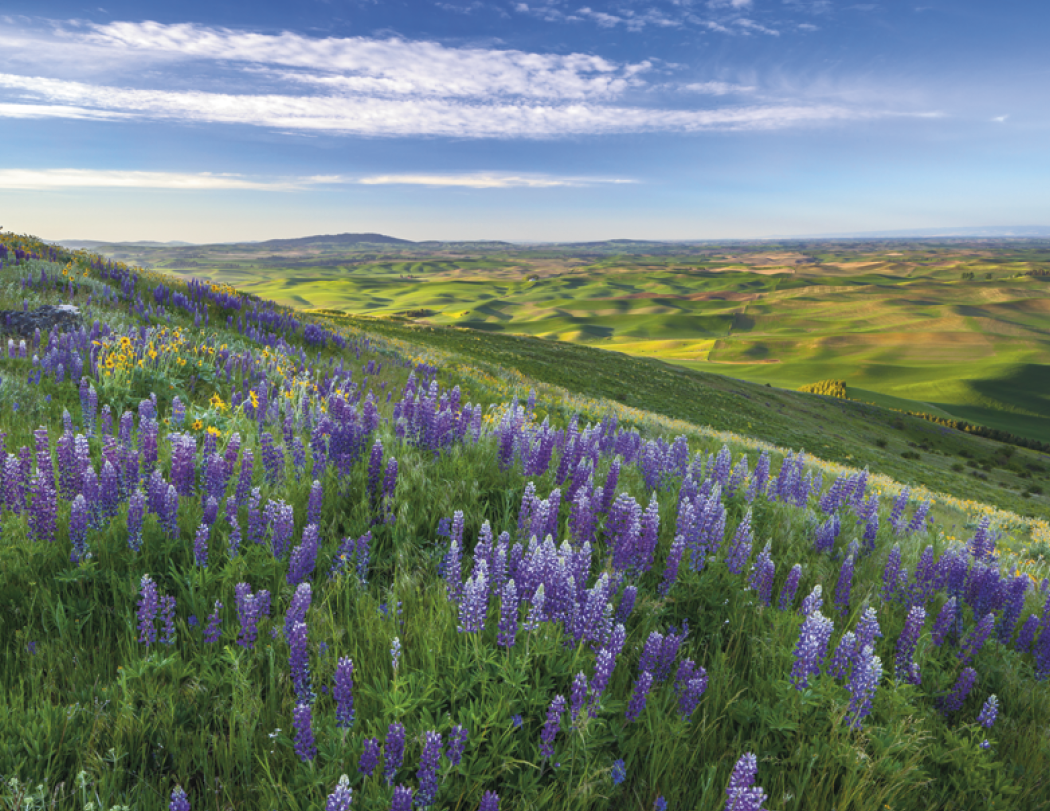 Good Value™ Landscapes of America - Spiral Calendar 91